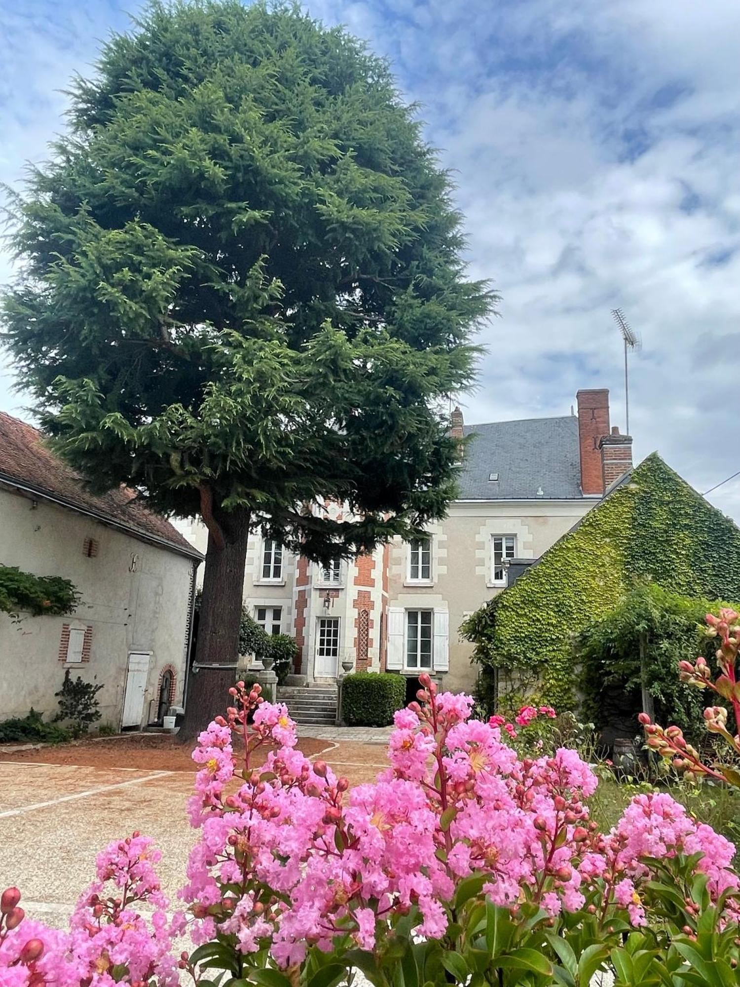 La Maison Voyage Bed And Breakfast Onzain Eksteriør bilde